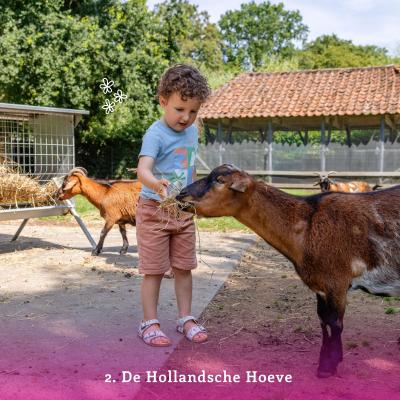 De Hollandsche Hoeve