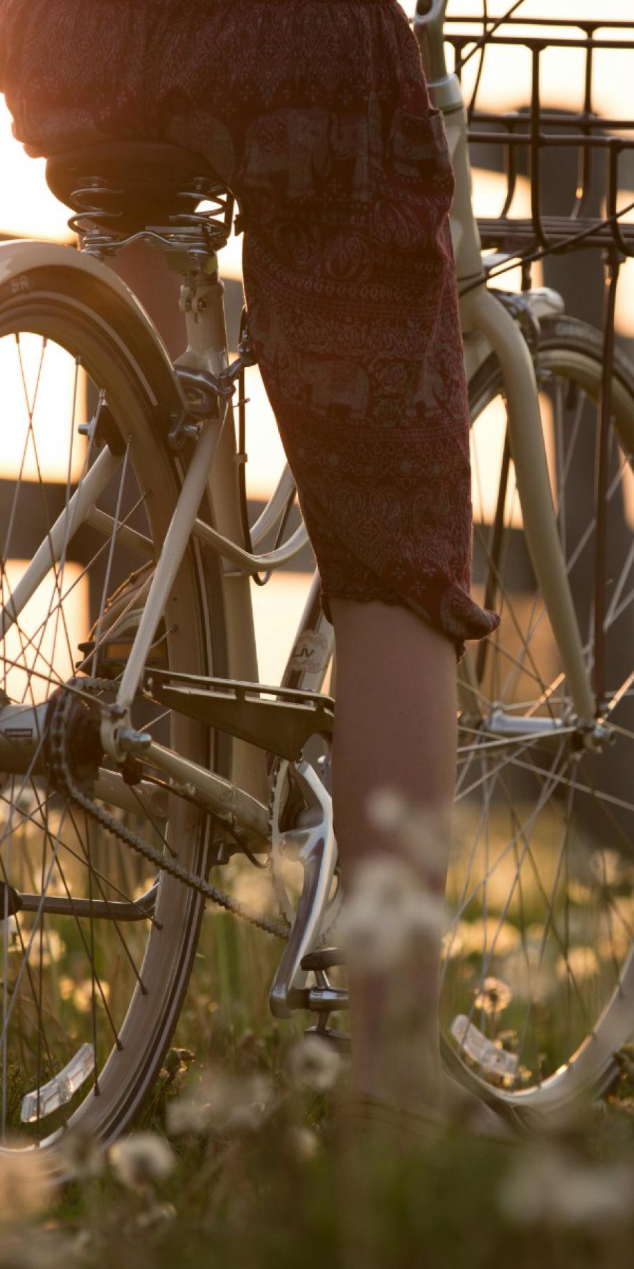 36e Zeeuwse Fietsvierdaagse