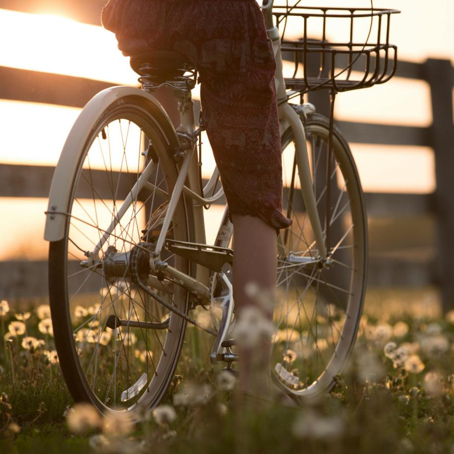 36e Zeeuwse Fietsvierdaagse