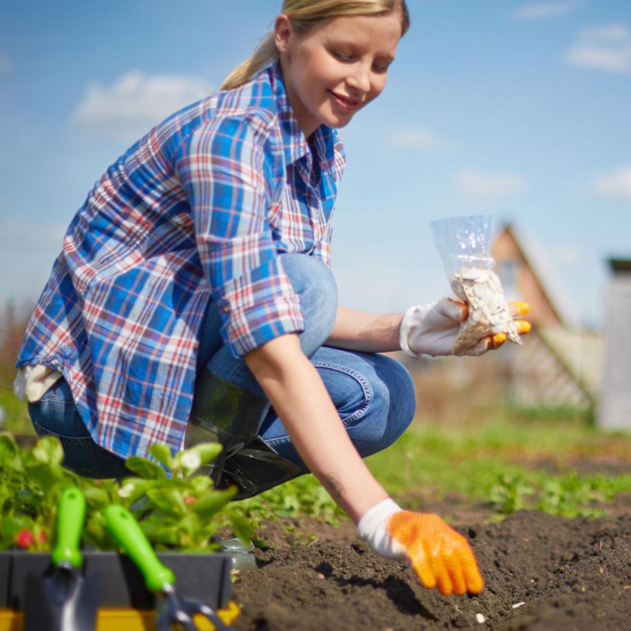 Workshop Succesvol Zaaien