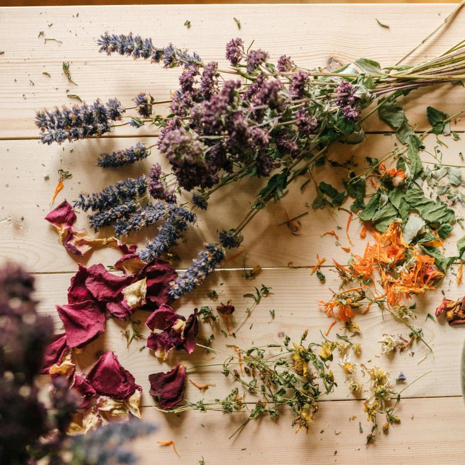 Kruidenwandeling & Workshop