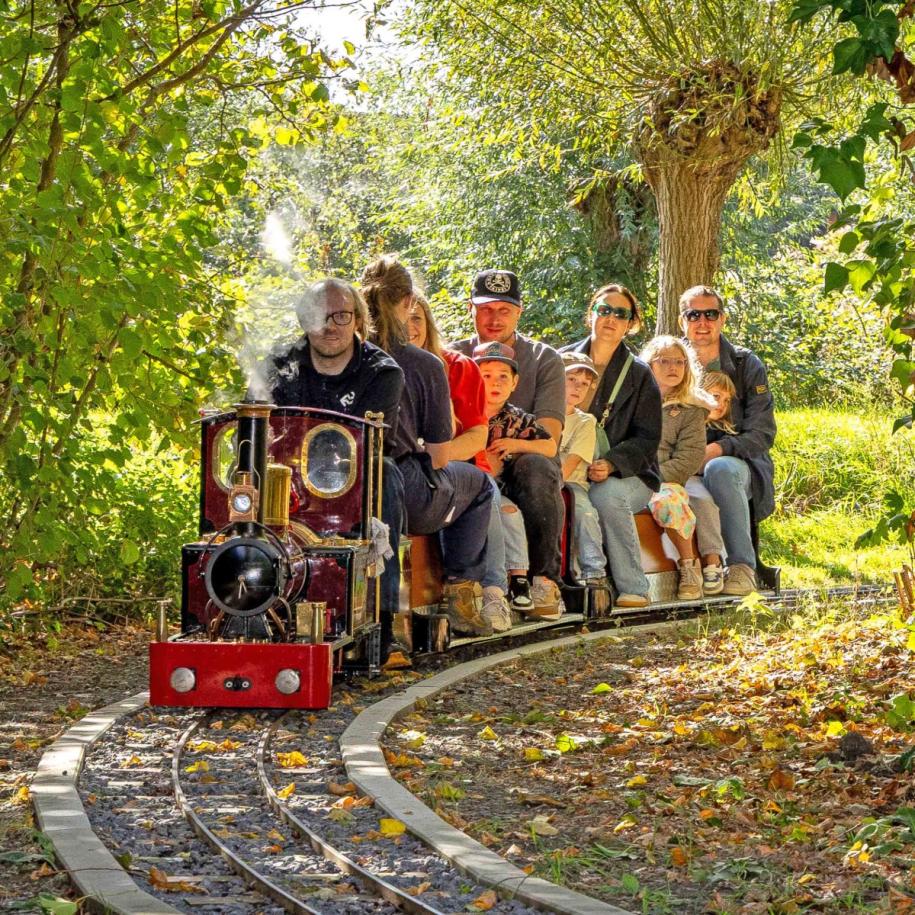 Stoompluimen in de Pluimweide