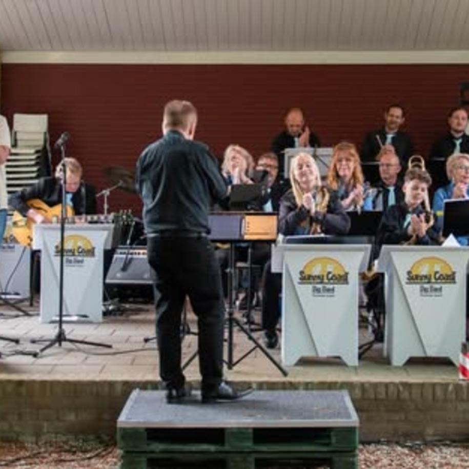 Swing in de Manhuistuin