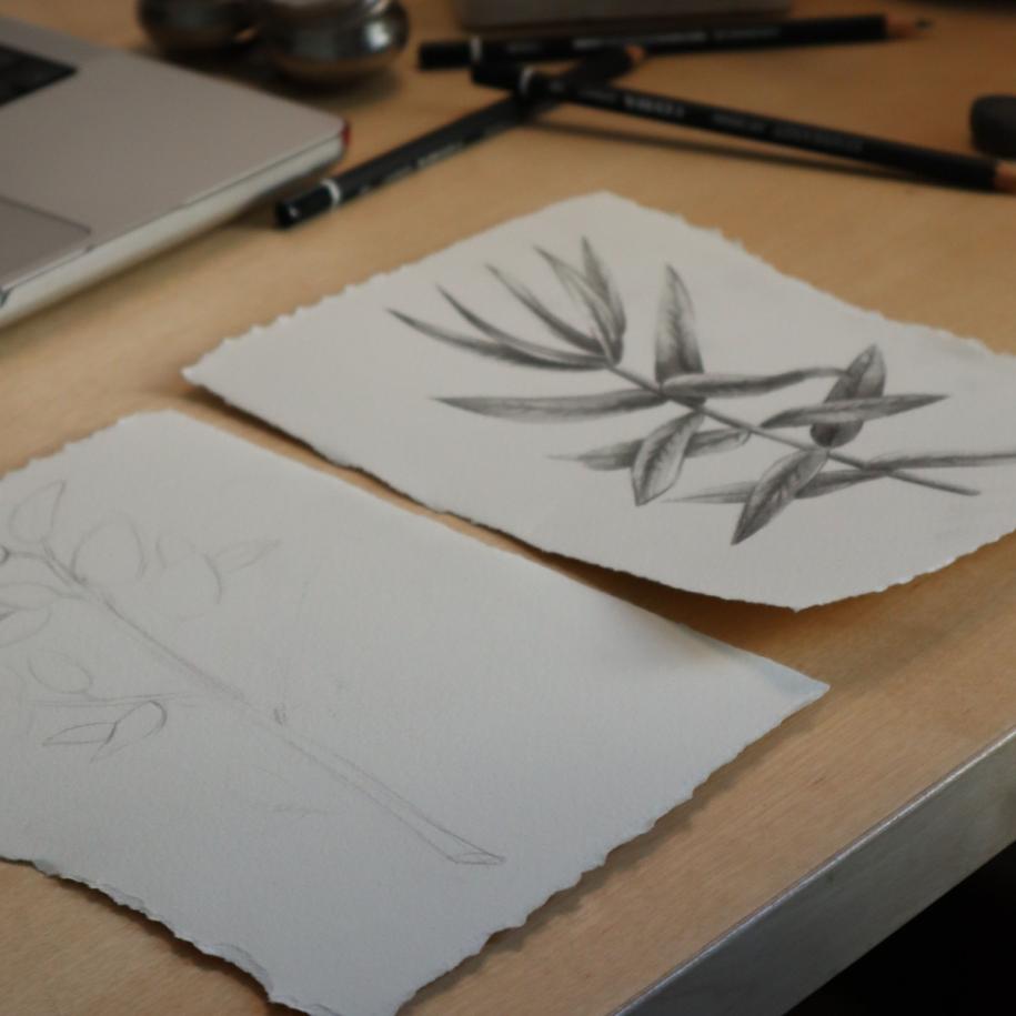 Workshop Botanisch Tekenen